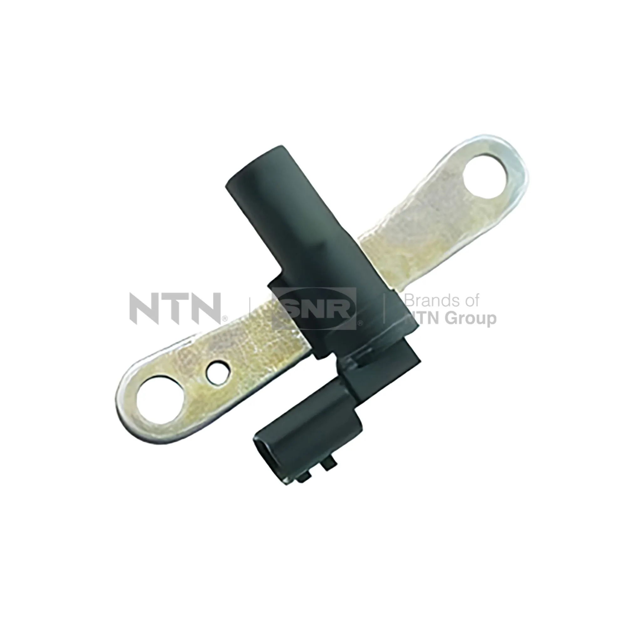 CKP15504 SNR
