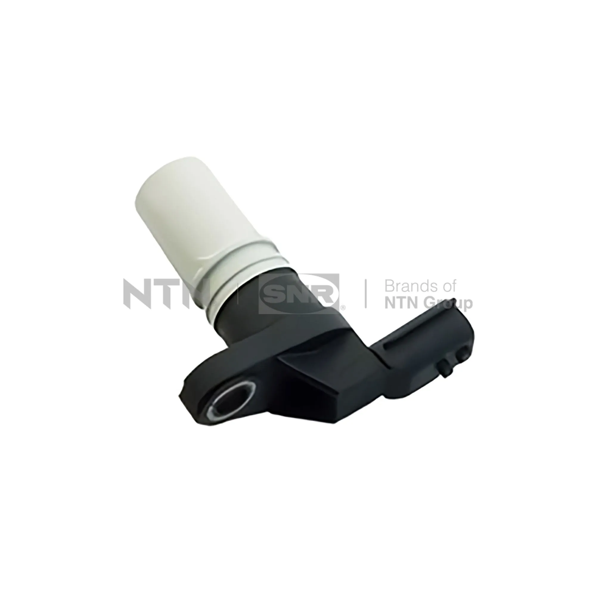 CKP15506 SNR