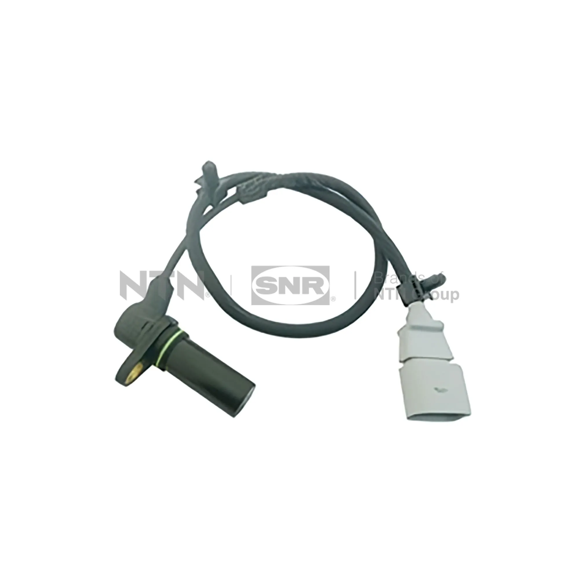 CKP15205 SNR