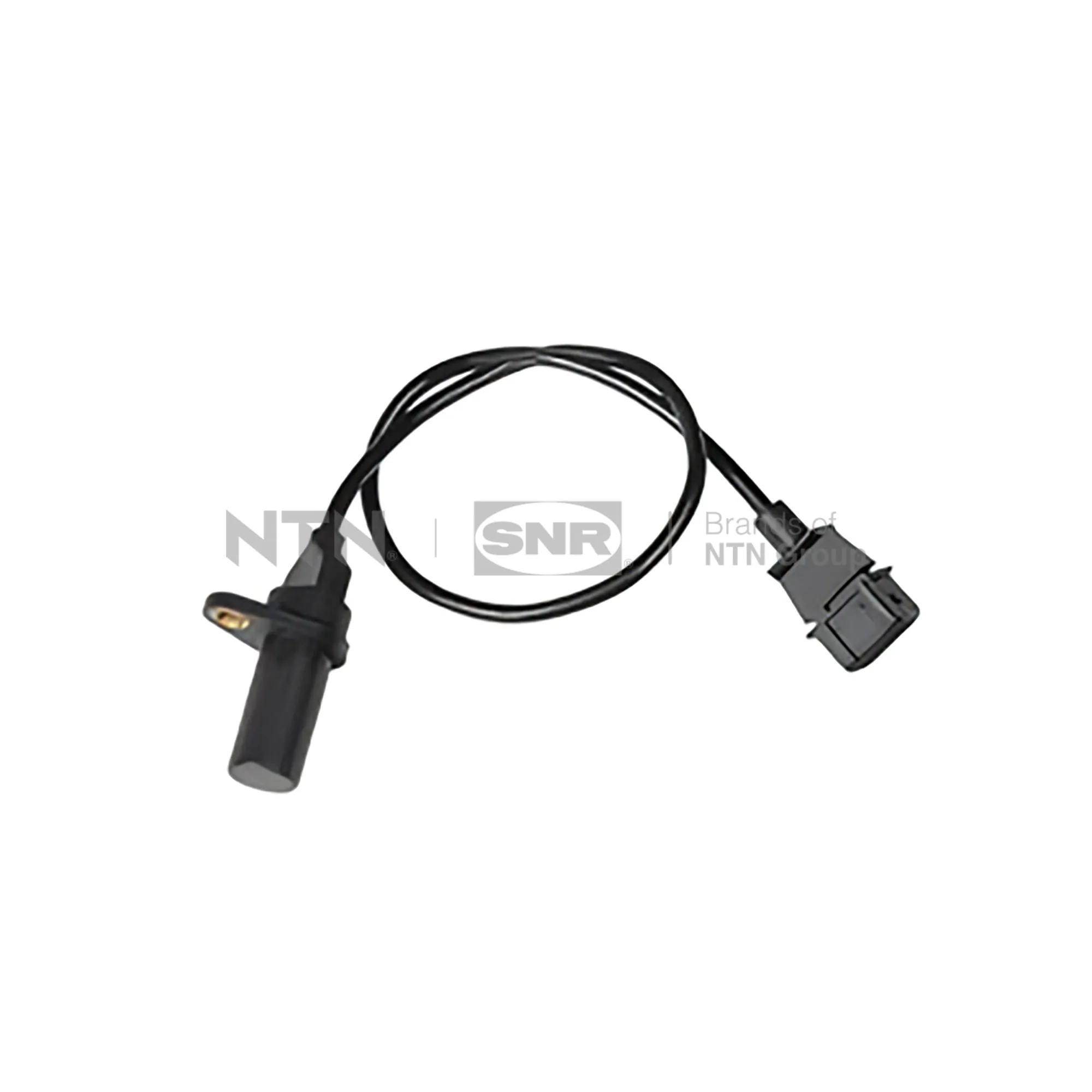 CKP15813 SNR