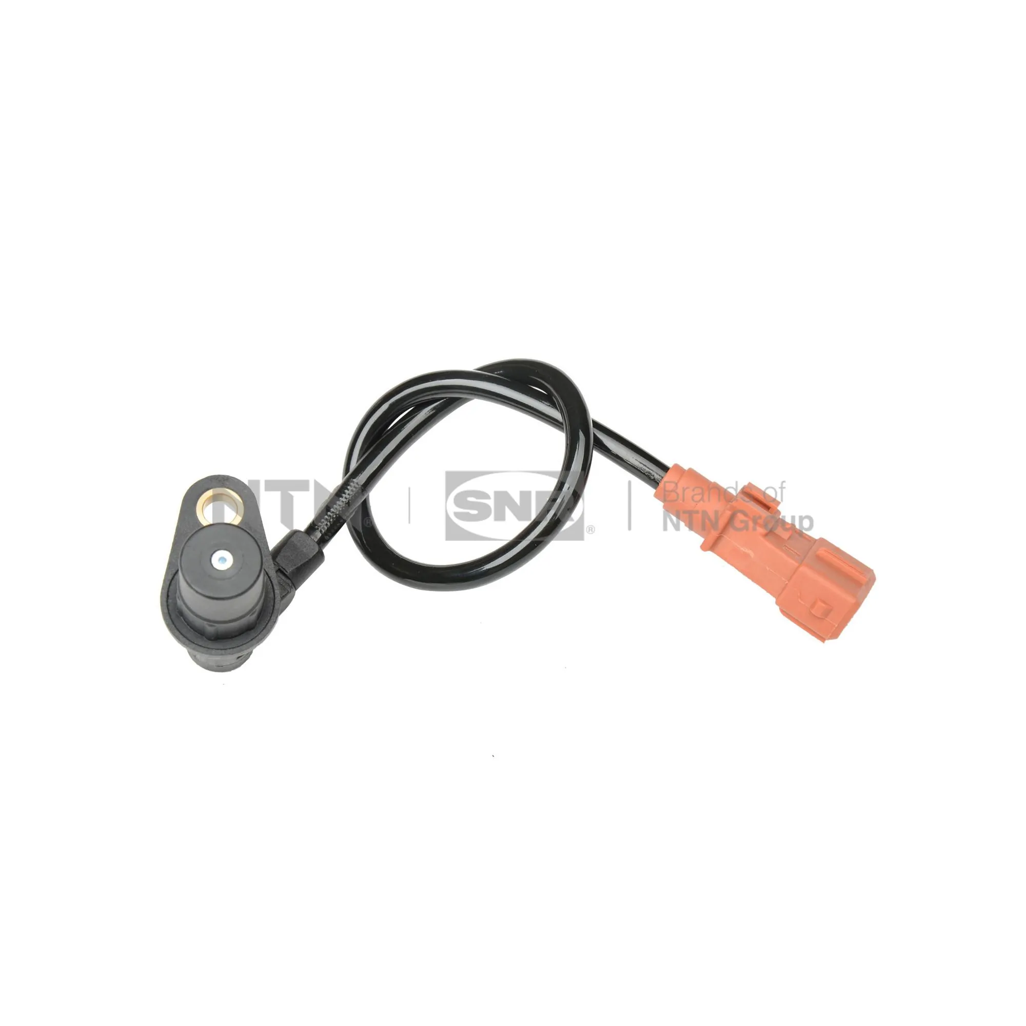 CKP15906 SNR