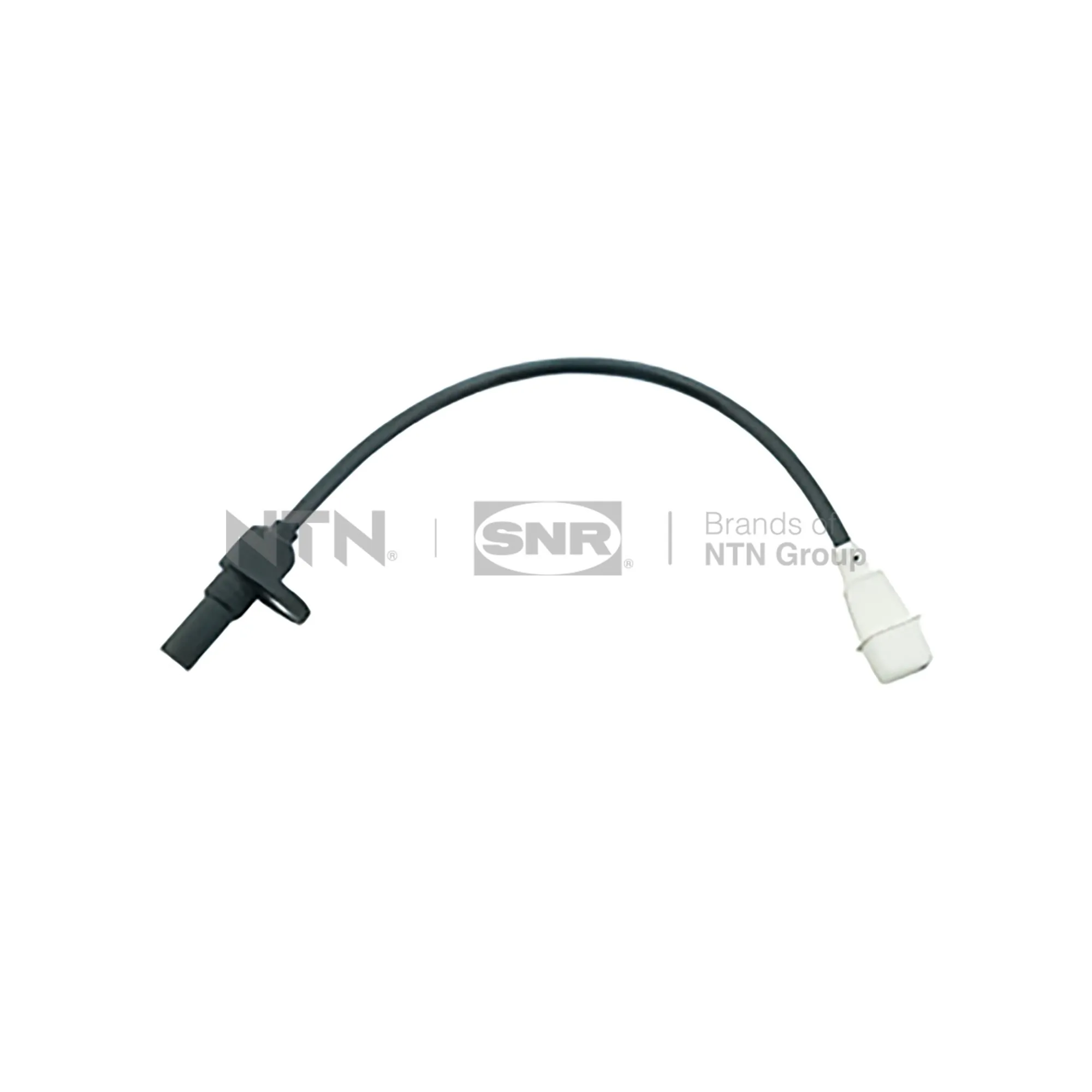 CKP15513 SNR