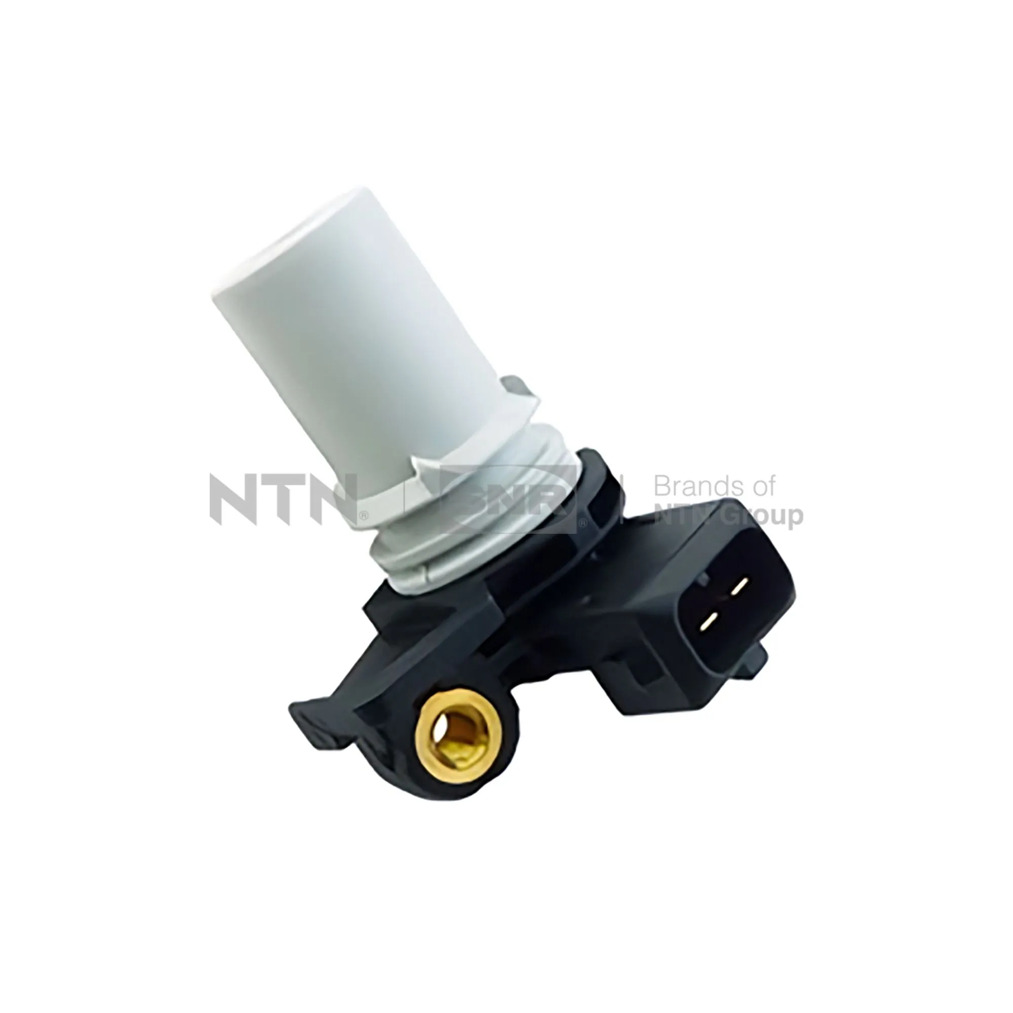 CKP15208 SNR
