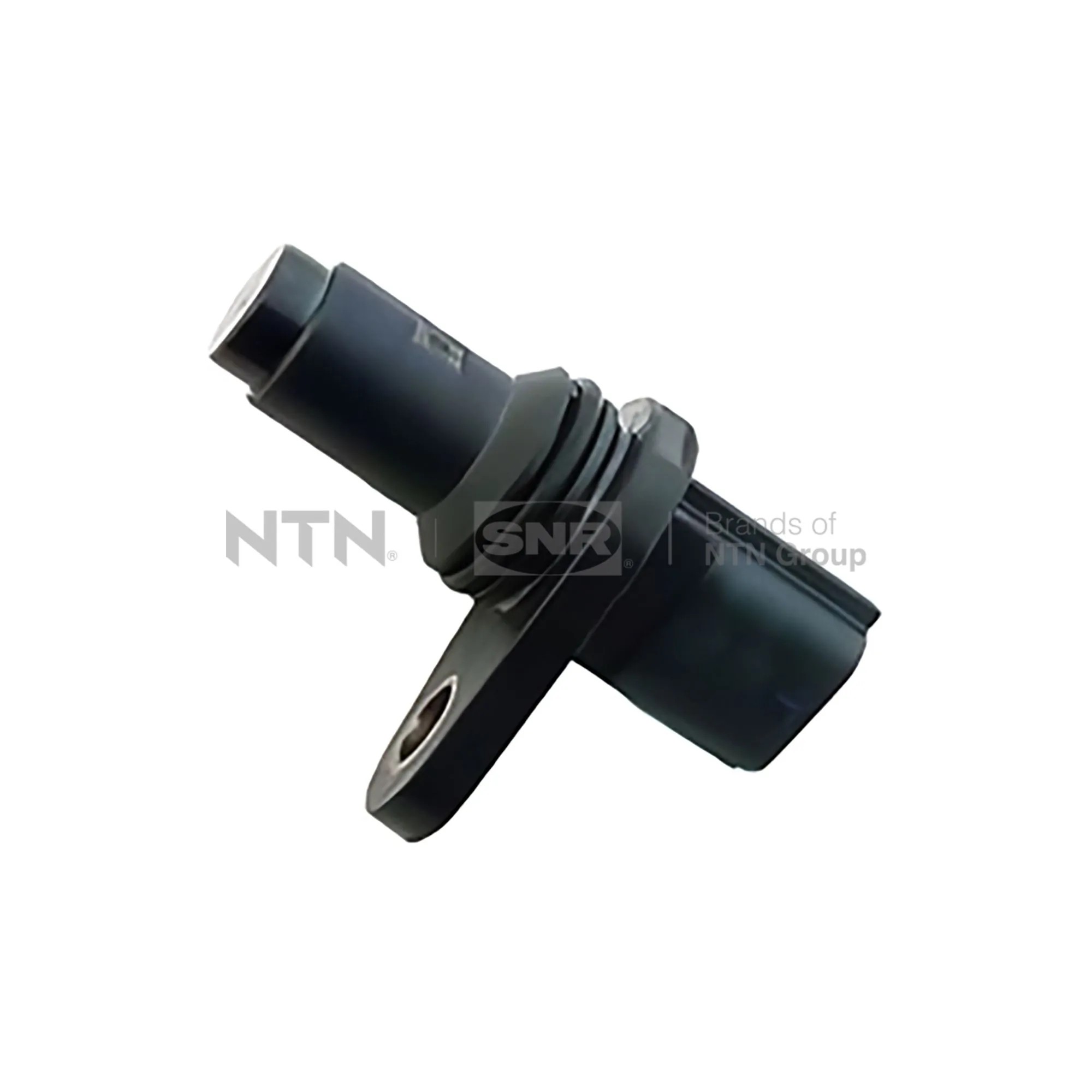 CKP15503 SNR