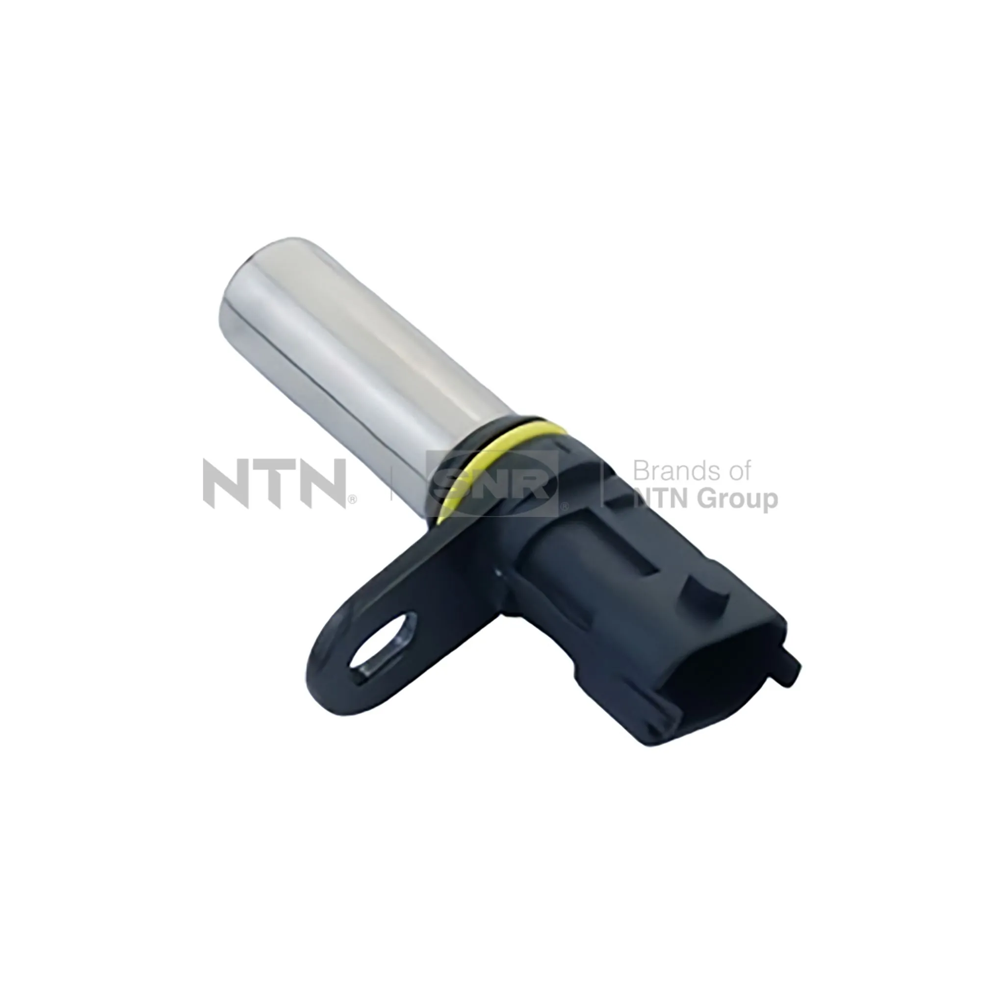 CKP15804 SNR
