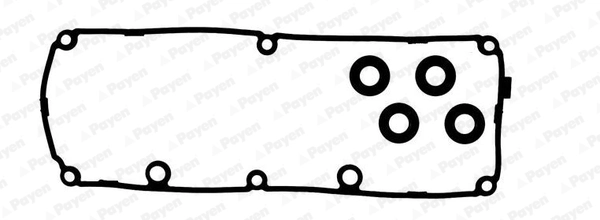 HM5389 Payen