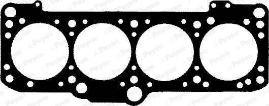 BT811 Payen