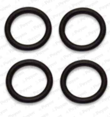 Uszczelka kolektora ssącego Mazda Y60110238