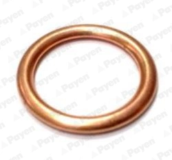 PB907 Payen