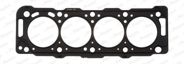 AC5020 Payen