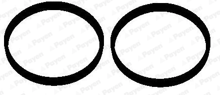 HA5072 Payen