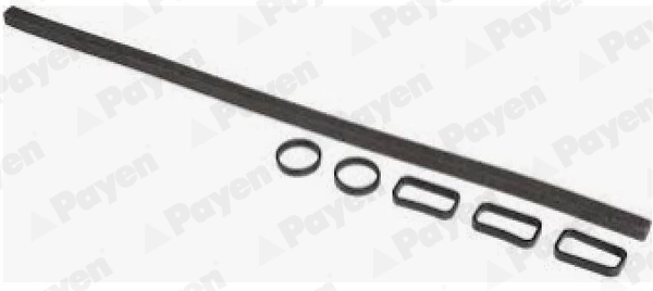 HM5409 Payen