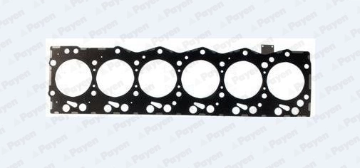 AG9530 Payen