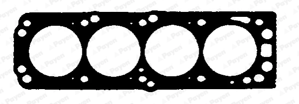 BL550 Payen