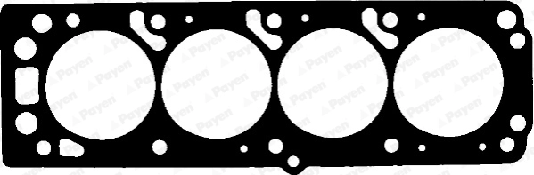 BP810 Payen