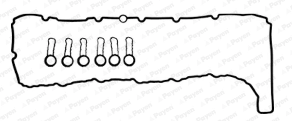 HM5391 Payen