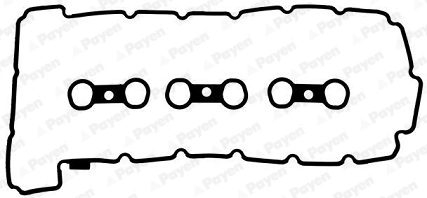 HM5278 Payen