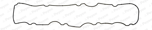 JM5088 Payen