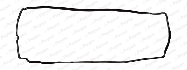 JM5298 Payen