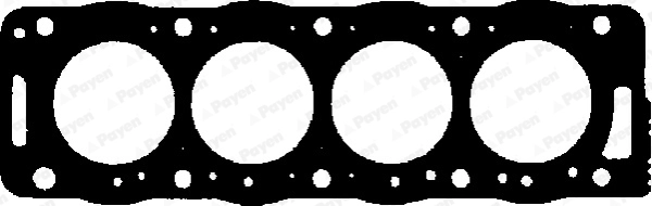 BR790 Payen