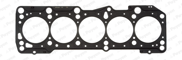 AF5320 Payen