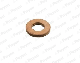 KG5347 Payen