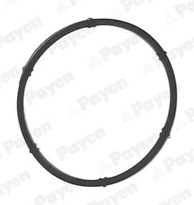 JD6171 Payen