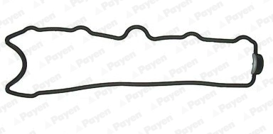 JP008 Payen