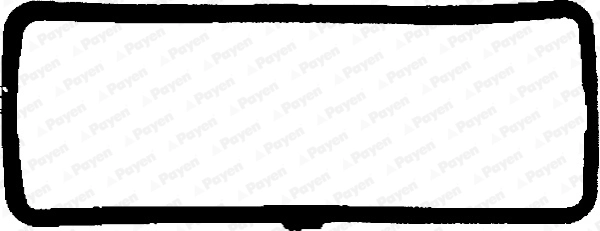 JN658 Payen
