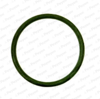 Uszczelka kolektora ssącego Peugeot 306 