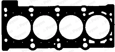 AB5661 Payen