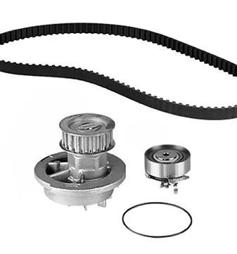 3006941 Metelli