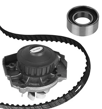 3002862 Metelli