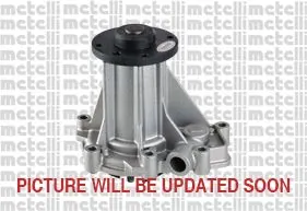 241150 Metelli