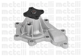 240823 Metelli