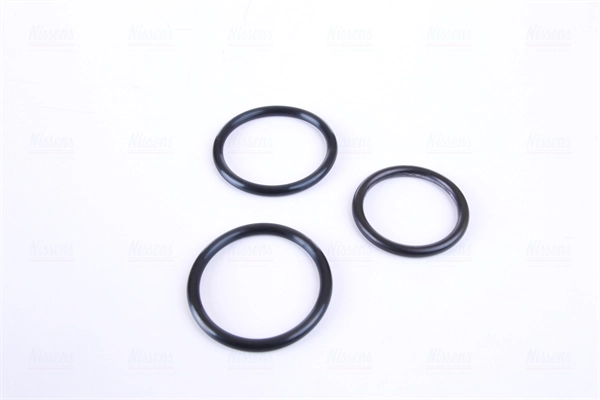 Chłodnica silnika Land Rover Range Rover III SUV (L322) (2002 - 2009) cena, od 256,17 USD