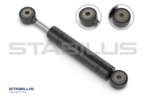 8269CW Stabilus