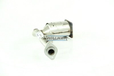 20574 Walker