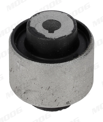AUSB15659 Moog