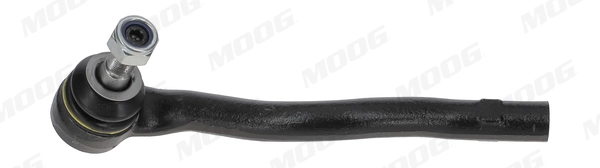MEES5599 Moog