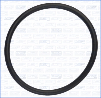 Uszczelka termostatu do Volkswagen Golf BA5, BV5