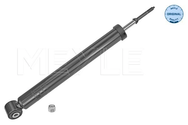 Amortyzator tylny prawy Magneti Marelli 4968G cena, od 32,00 USD