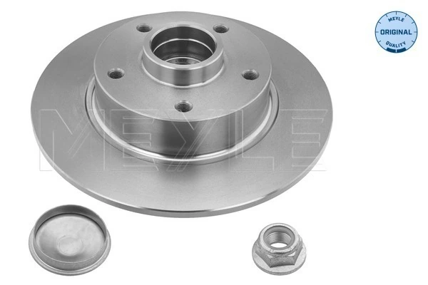 Do koszyka Tarcza hamulcowa tylna Renault Fluence  B3