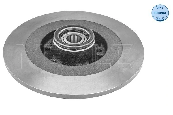 Tarcza hamulcowa tylna do Renault Laguna III BT0, BT1