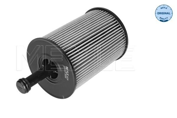 Filtr oleju do Seat Ibiza IV 6J5, 6P1