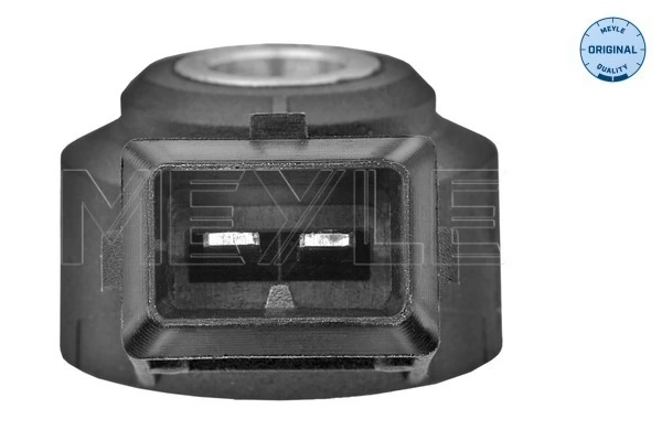 Czujnik stukowy (czujnik spalania stukowego) do Peugeot Expert  224