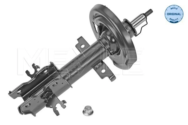 Amortyzator przedni Renault Laguna III hatchback (BT0, BT1) (2007 - 2015) cena, od 88,75 USD