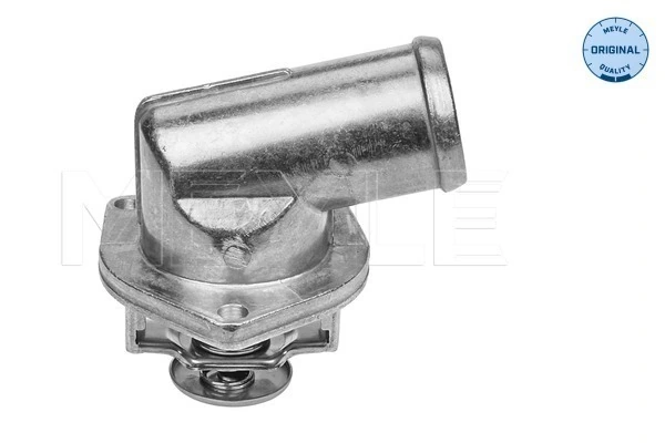 1338073 General Motors Termostat