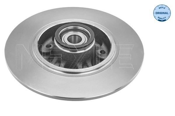  Tarcza hamulcowa tylna Renault Fluence 