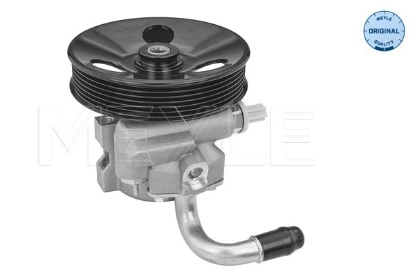 Pompa wspomagania hydraulicznego kierownicy Chevrolet Lacetti sedana (J200) (2003 - 2013) cena, od 64,70 USD
